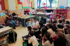 Σχολική Βιβλιοθήκη (4)