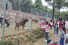 δημοτικό εκδρομή ranch 3