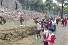 δημοτικό εκδρομή ranch 4