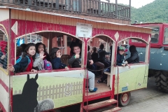 δημοτικό εκδρομή ranch 9