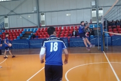 ZOIS VOLLEY 2016 (8)