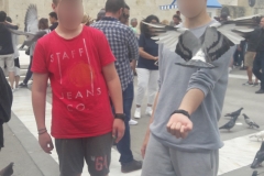 Eπίσκεψη Γ΄ Γυμνασίου Βουλή των Ελλήνων (1)