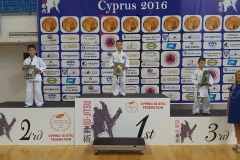 vraveuseis athliton ju jitsu 1